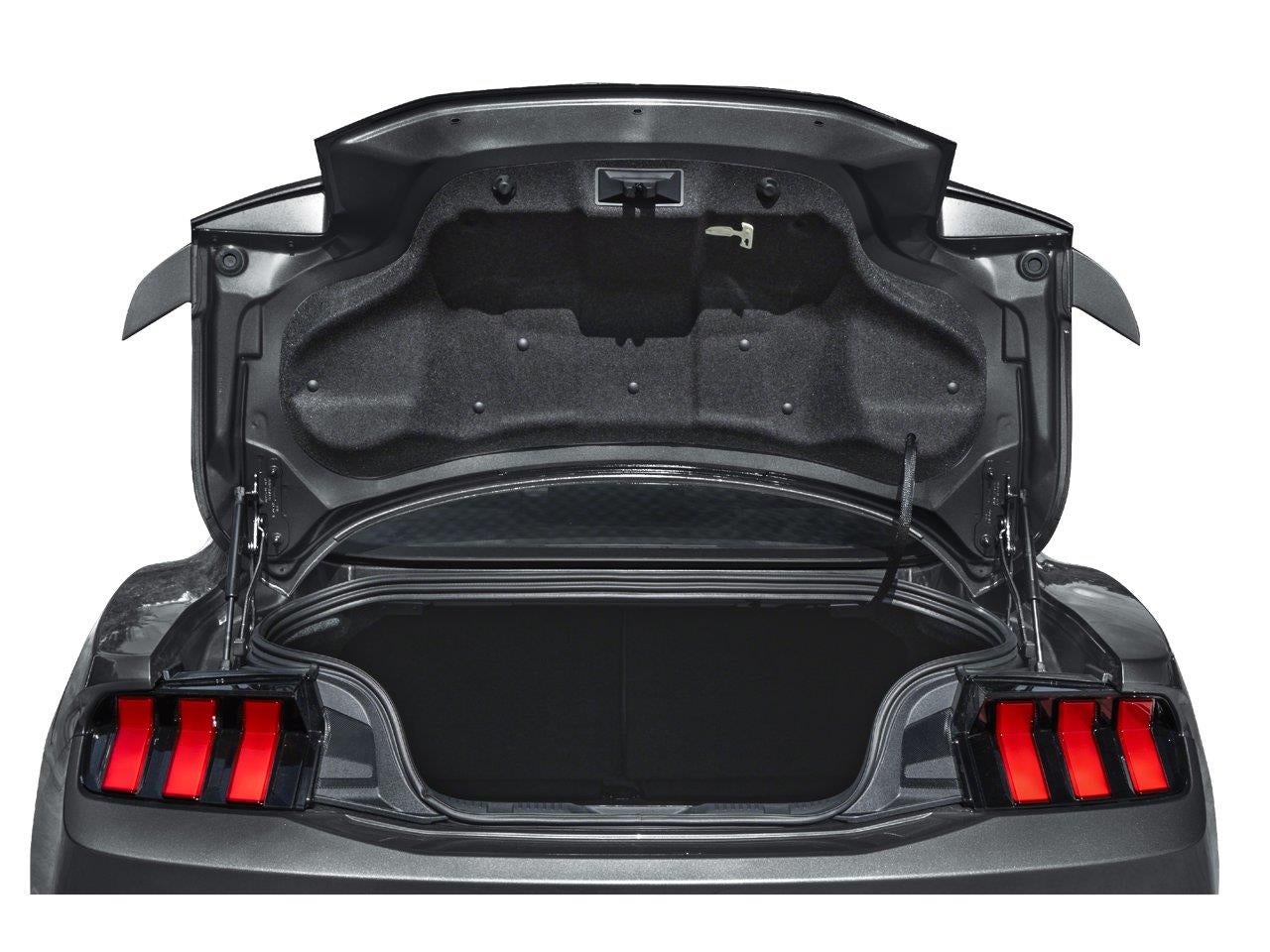2025 Ford Mustang GT Premium Fastback - Photo 17