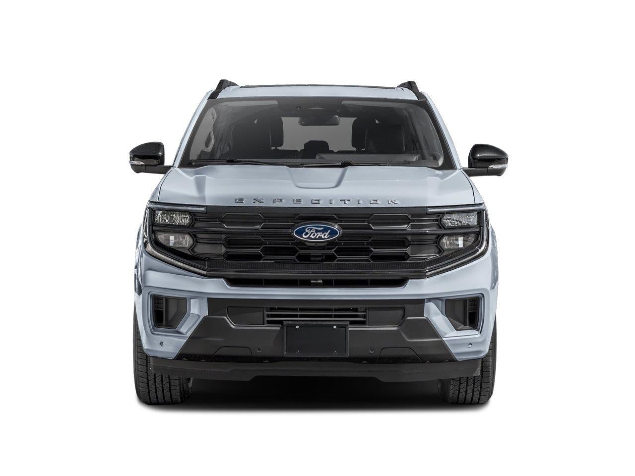 2026 Ford Expedition Active *Under Deposit*