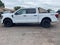 2026 Ford F-150 STX *Under Deposit*