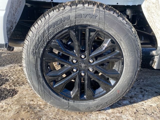 2026 Ford F-150 XLT *Under Deposit*