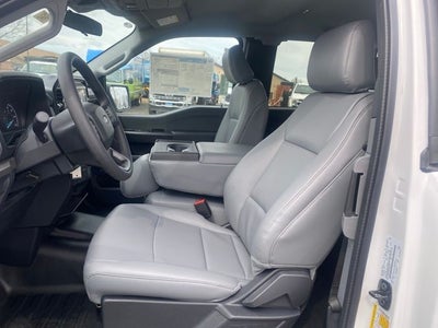 2026 Ford F-150 XL *Under Deposit*