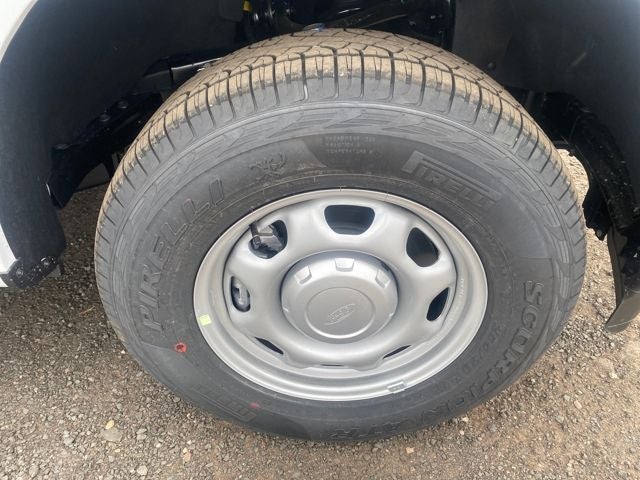 2026 Ford F-150 XL *Under Deposit*