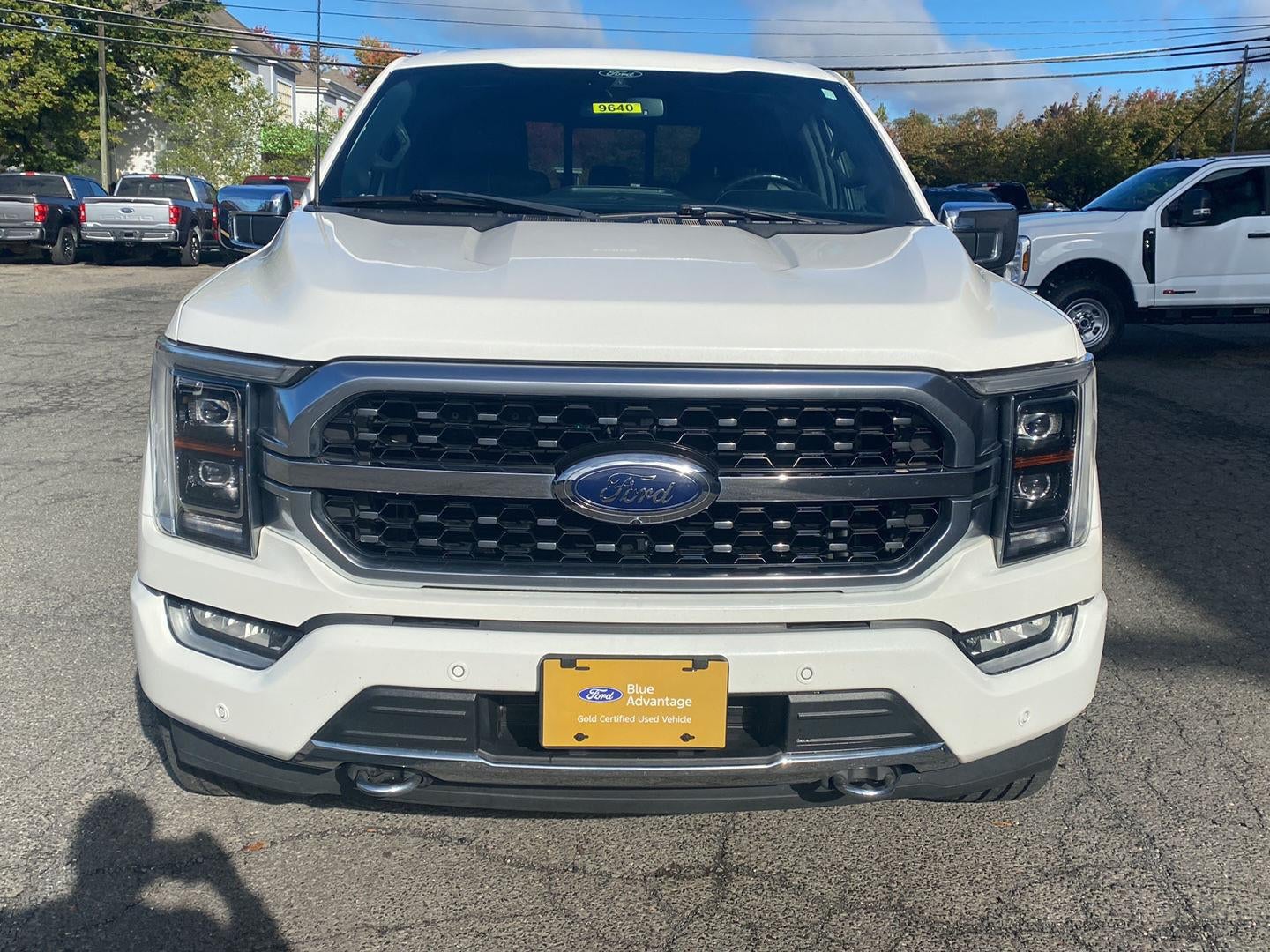 2021 Ford F-150 Platinum