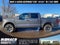 2024 Ford F-150 STX *Under Deposit*