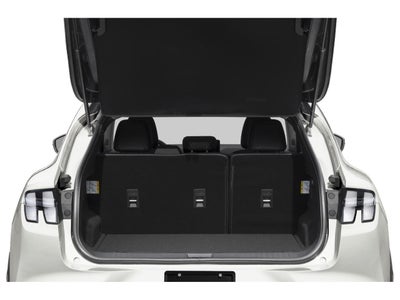 2022 Ford Mustang Mach-E California Route 1