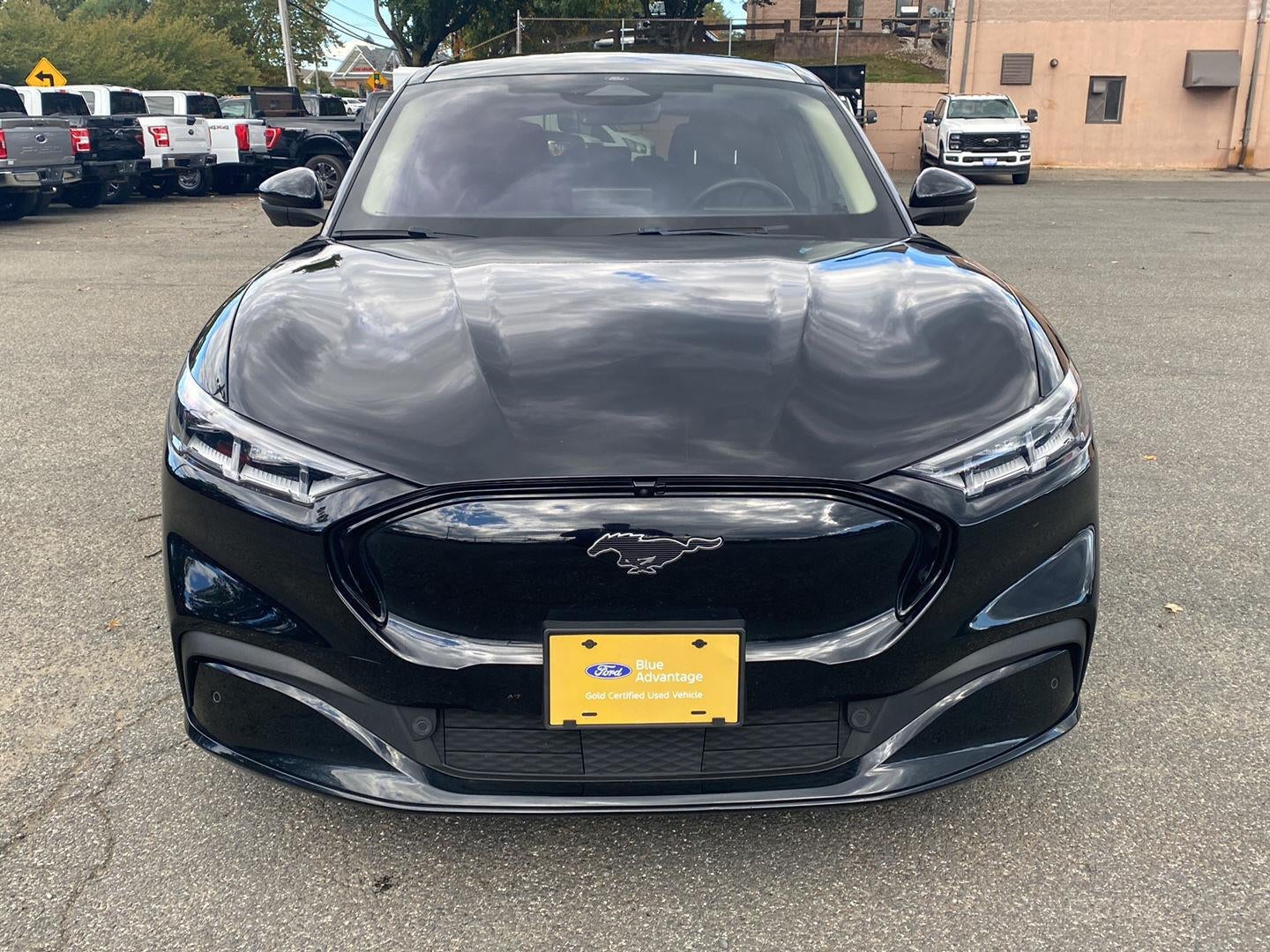 Certified 2023 Ford Mustang Mach-E Premium AWD with VIN 3FMTK3SU0PMA50716 for sale in Glastonbury, CT