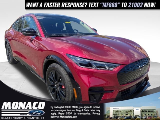 2025 Ford Mustang-Mach-e Premium's photo
