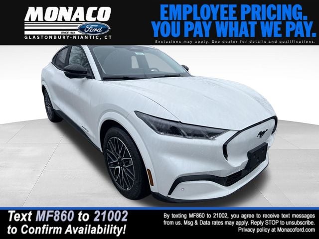 2026 Ford Mustang-Mach-e Premium's photo