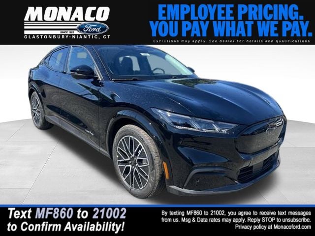 2025 Ford Mustang-Mach-e Premium's photo