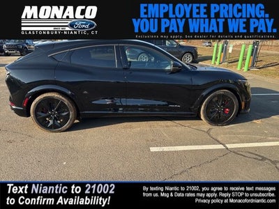 2025 Ford Mustang Mach-E GT