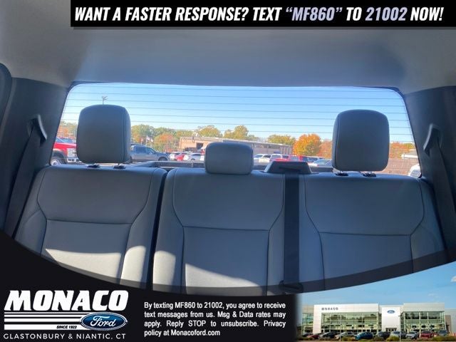 2025 Ford F-150 Lightning Flash™