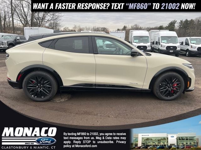 2025 Ford Mustang Mach-E Premium